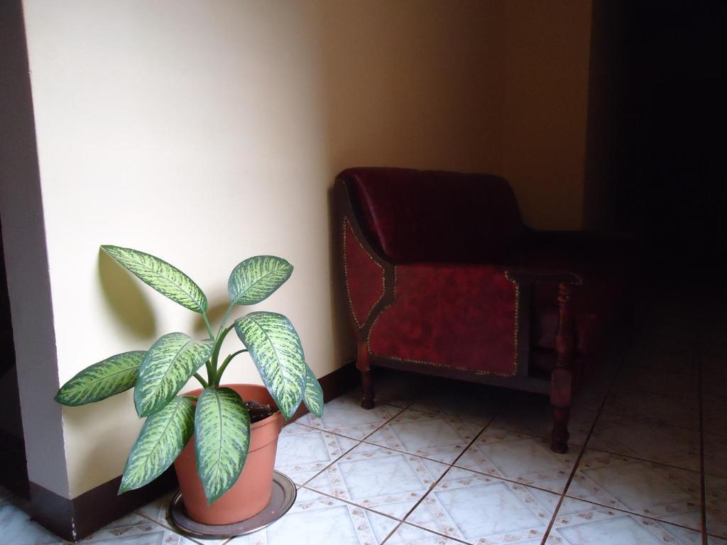 Hosteria Mola Hotel Puerto Iguazu Ngoại thất bức ảnh